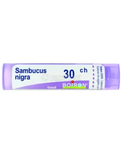 Sambucus Nigra 30CH Granuli Boiron