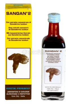 Sangan 2