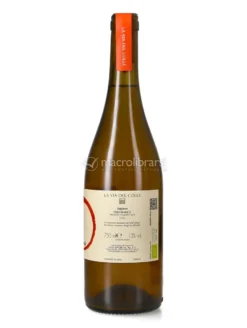 Sapiens - Vino Bianco Biologico