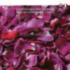 Sciroppo di Rose