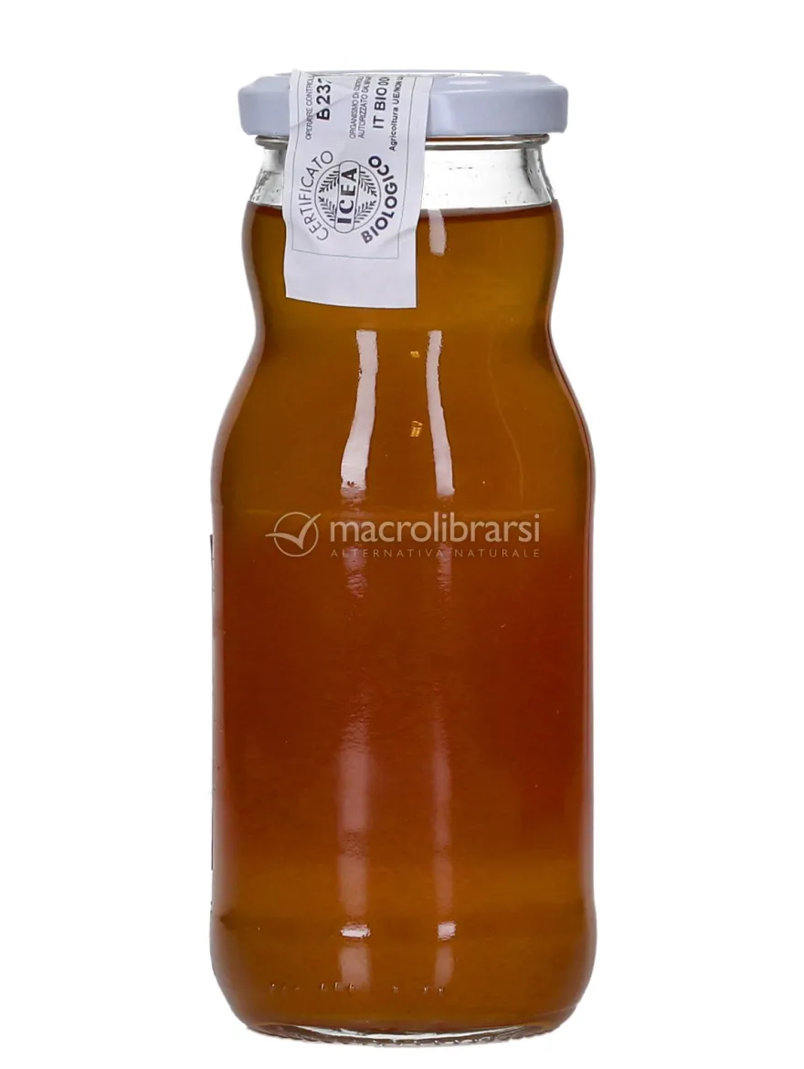 Sciroppo di Sambuco