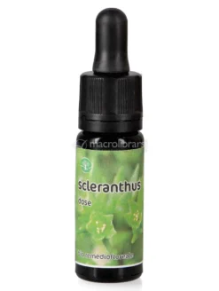 Scleranthus - Dose