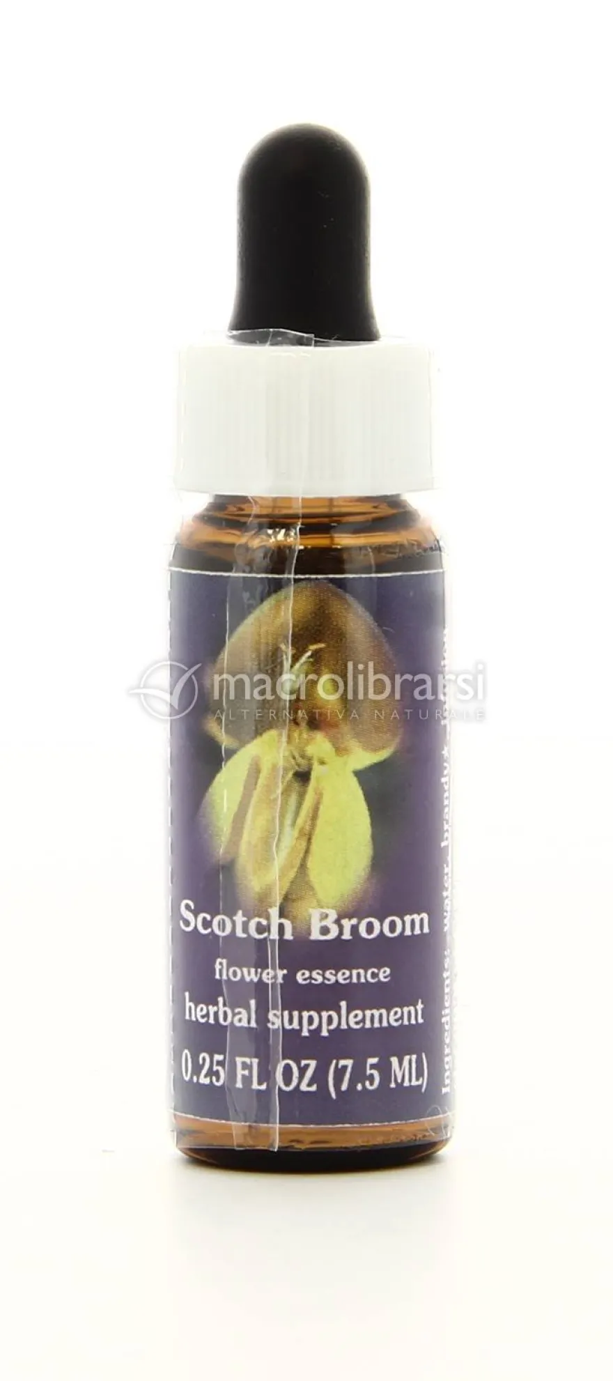 Scotch Broom - Fiori californiani