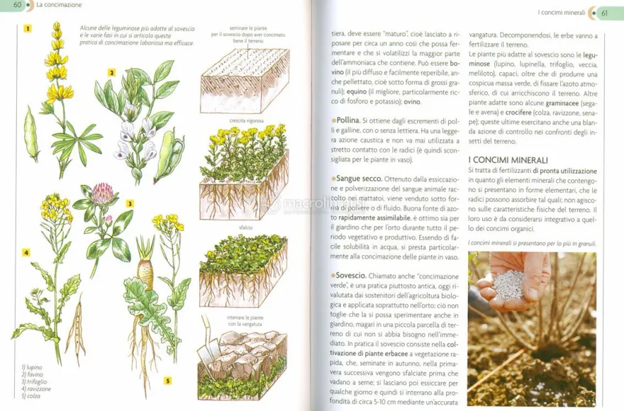 Scuola di Giardinaggio