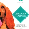 Segugio Italiano