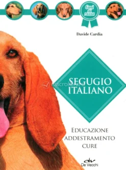 Segugio Italiano