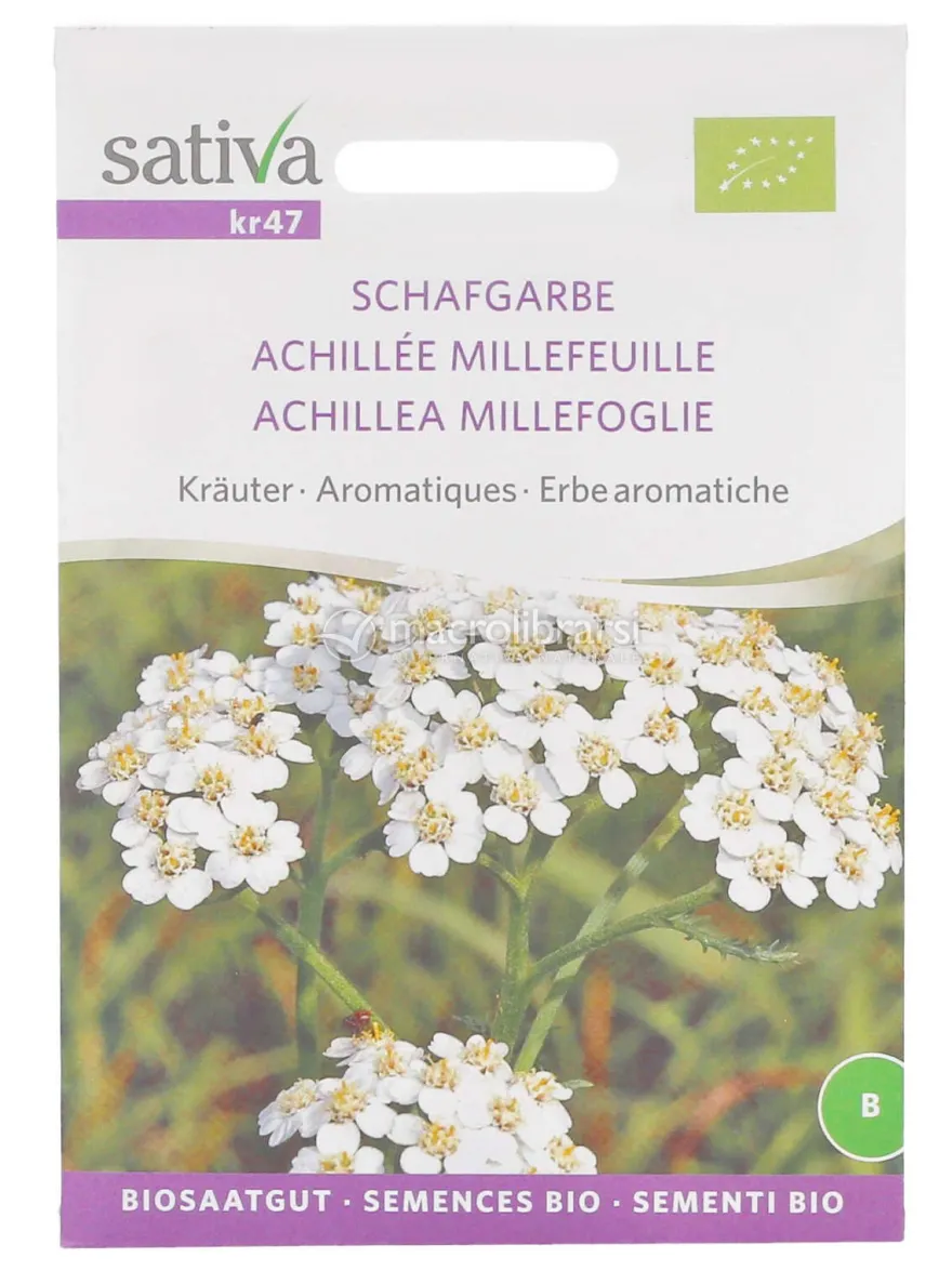 Semi di Achillea Millefoglie