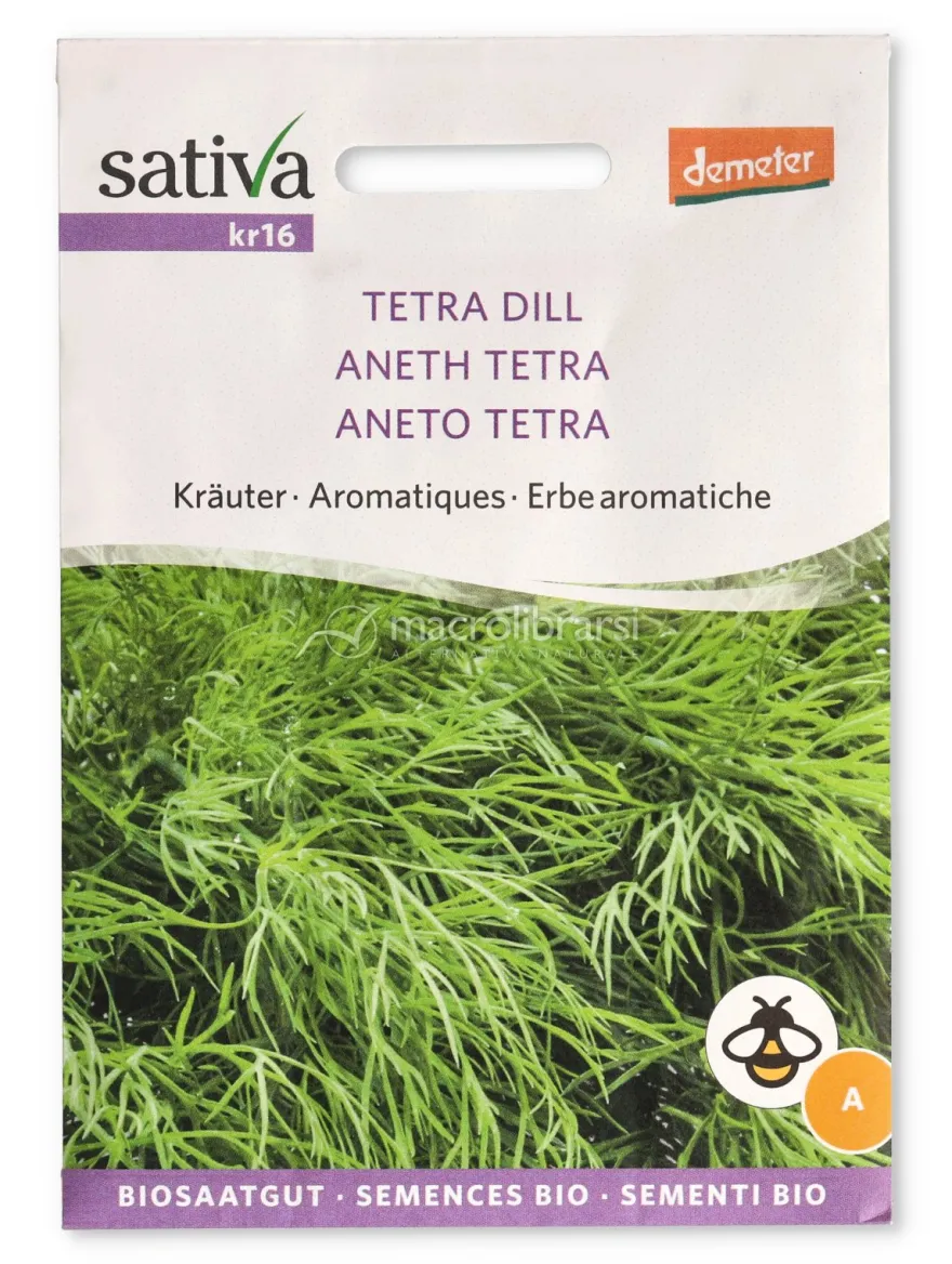 Semi di Aneto Tetra - Erbe Aromatiche