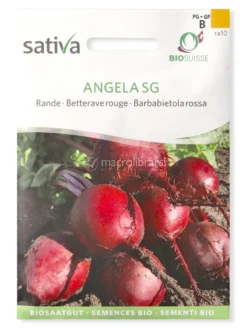 Semi di Barbabietola Rossa Angela SG