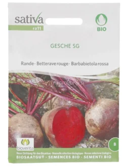 Semi di Barbabietola Rossa - Gesche Sg
