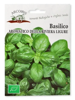 Semi di Basilico Aromatico della Riviera Ligure Bio