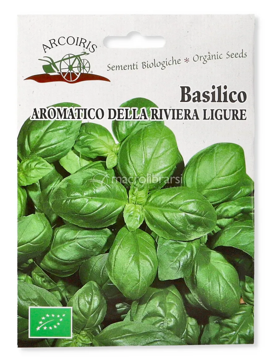 Semi di Basilico Aromatico della Riviera Ligure Bio