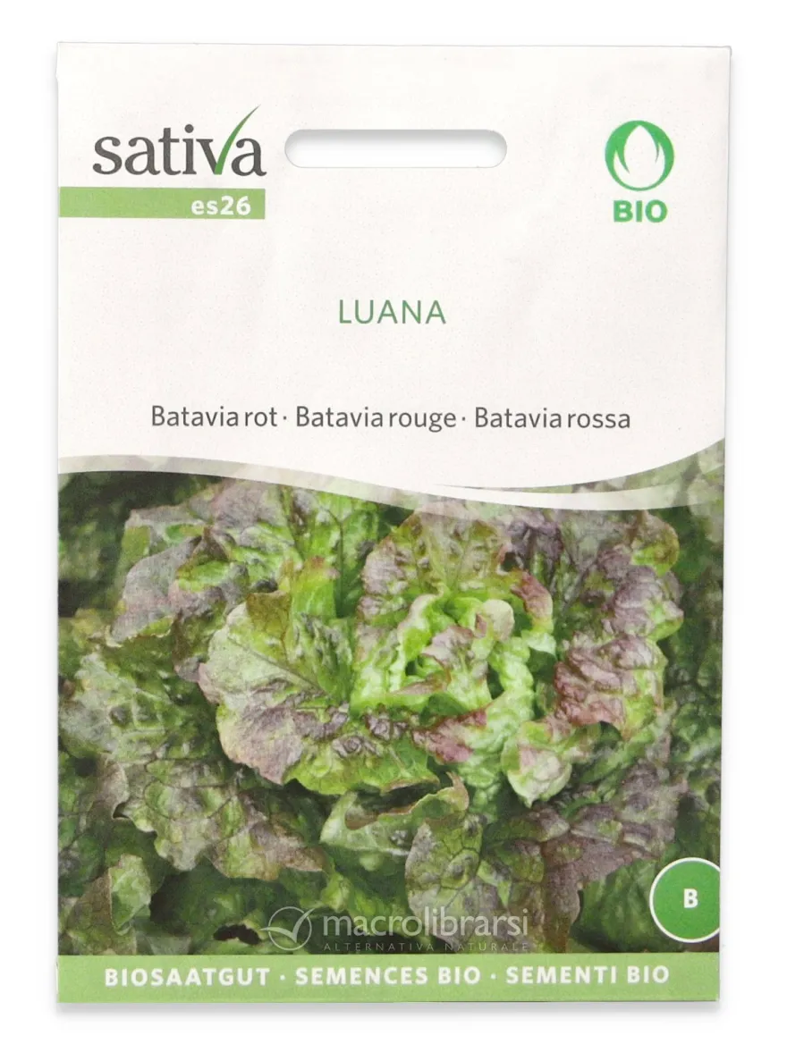 Semi di Batavia Rossa Bio - Luana