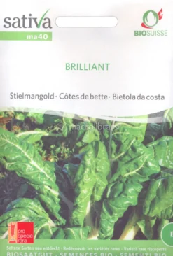 Semi di Bietola da Costa - Brilliant