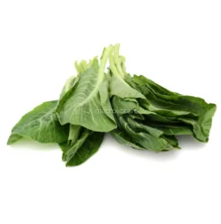 Semi di Bietola da Costa Liscia Verde da Taglio Bio