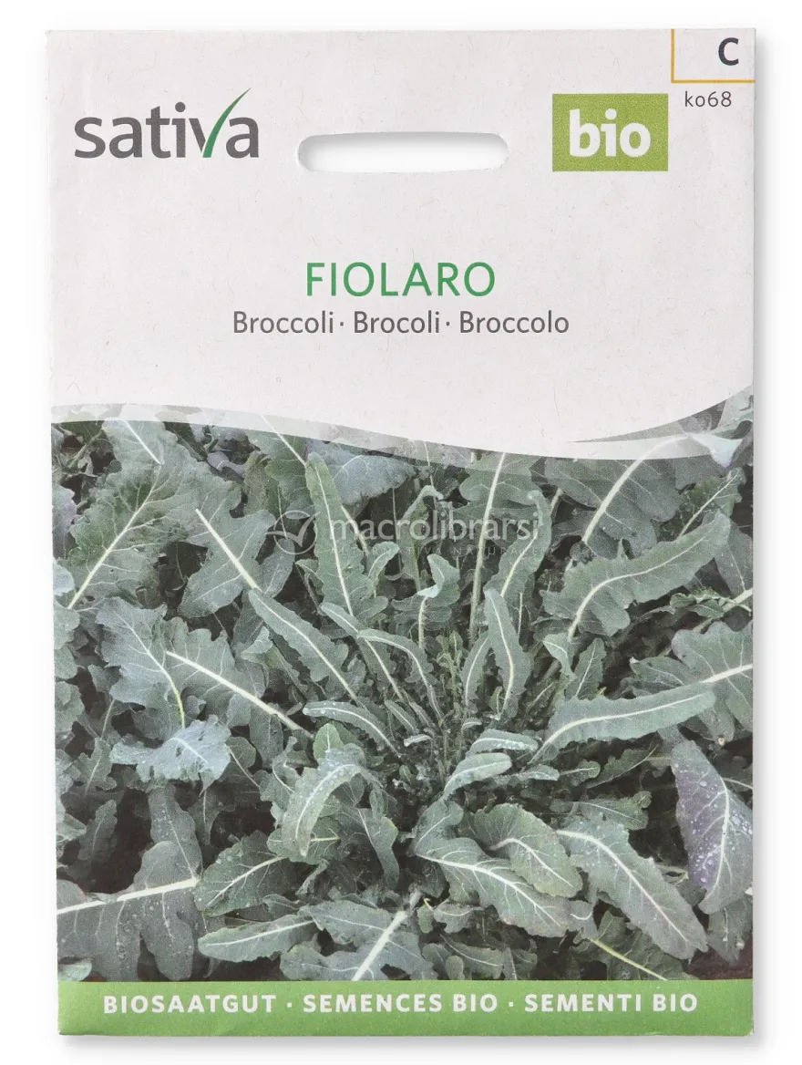 Semi di Broccolo - Fiolaro