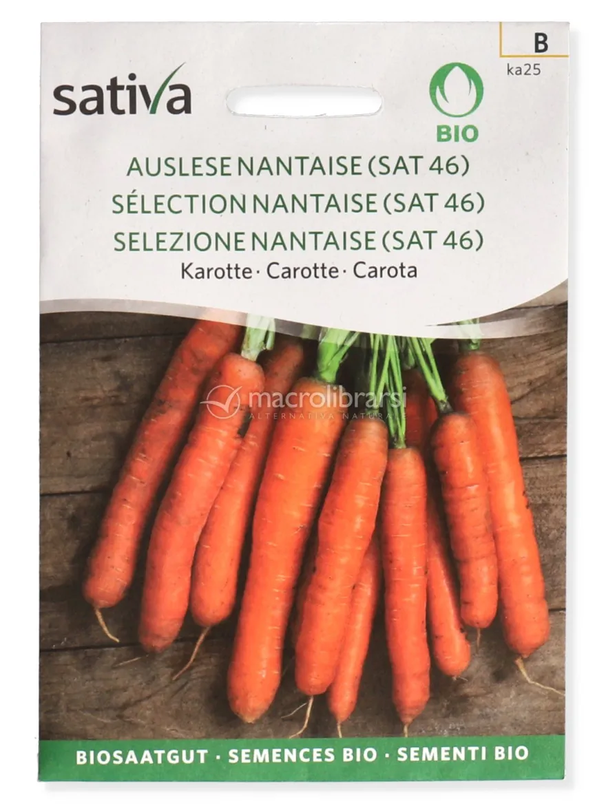 Semi di Carota Nantese