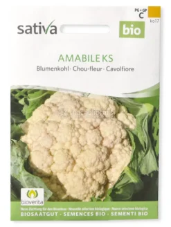 Semi di Cavolfiore Amabile KS