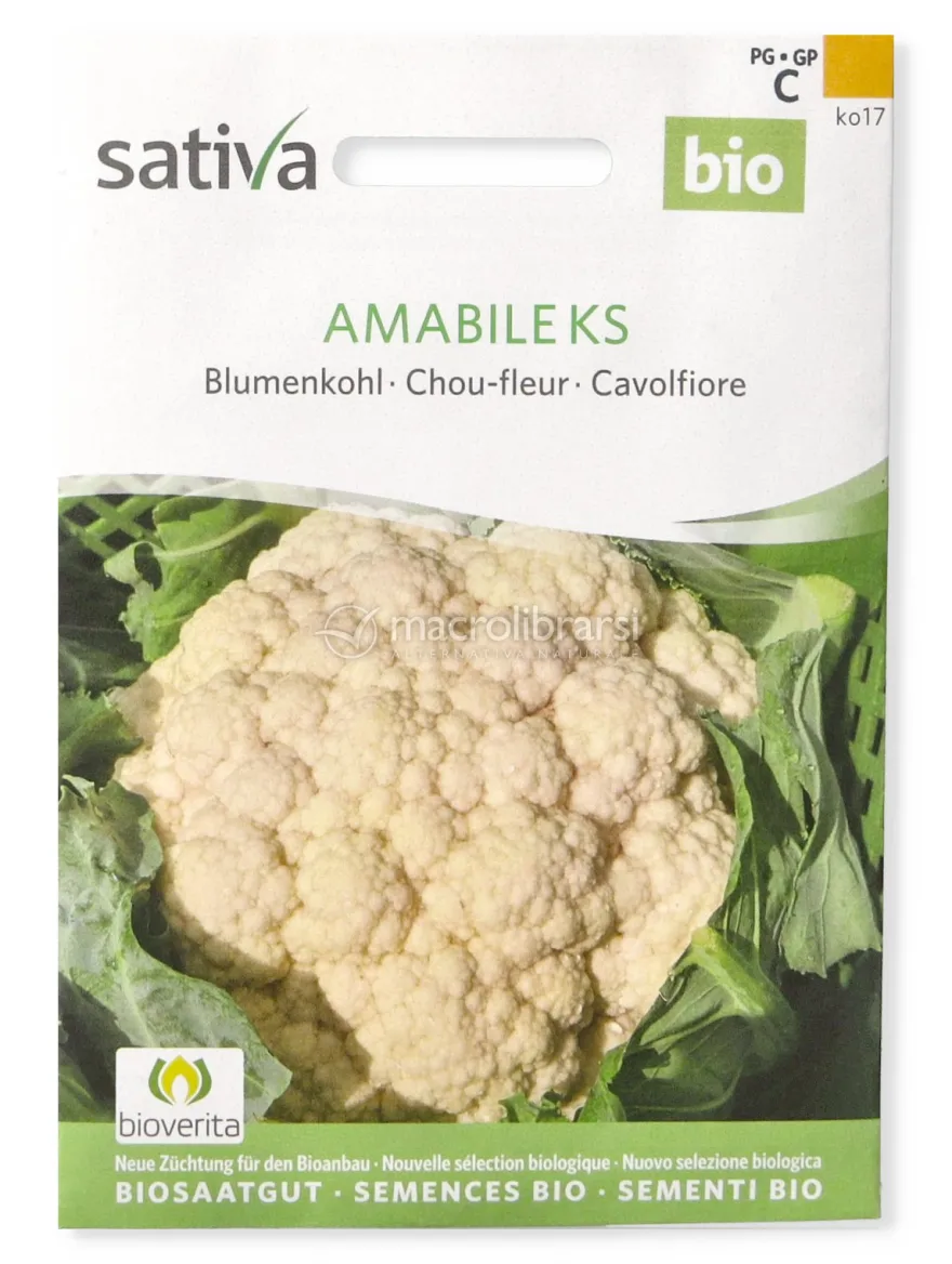 Semi di Cavolfiore Amabile KS