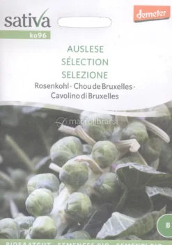 Semi di Cavolino di Bruxelles Selezione