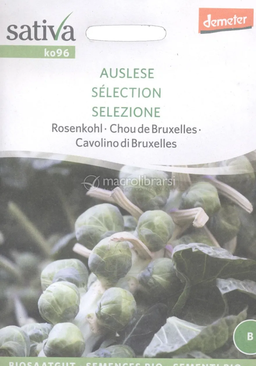 Semi di Cavolino di Bruxelles Selezione