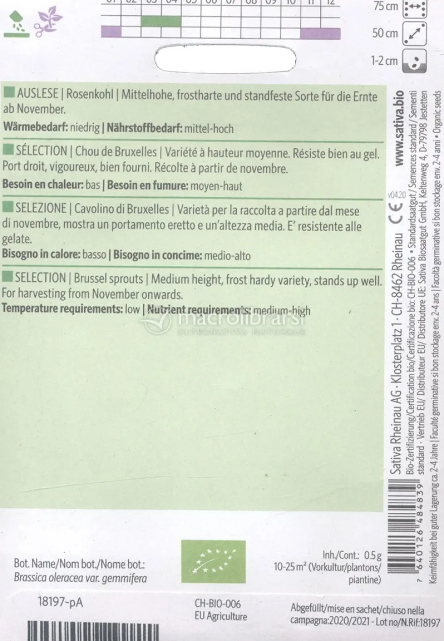 Semi di Cavolino di Bruxelles Selezione