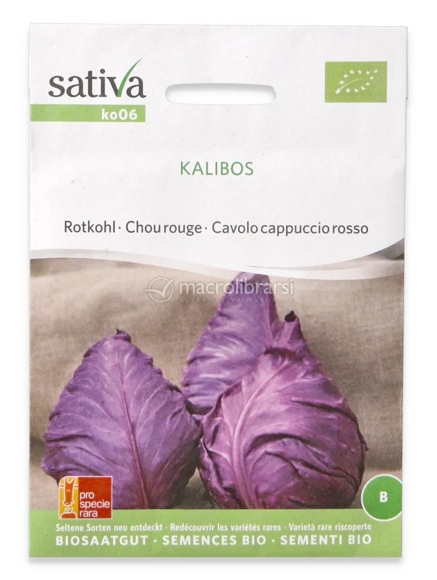 Semi di Cavolo Cappuccio Rosso Bio - Kalibos