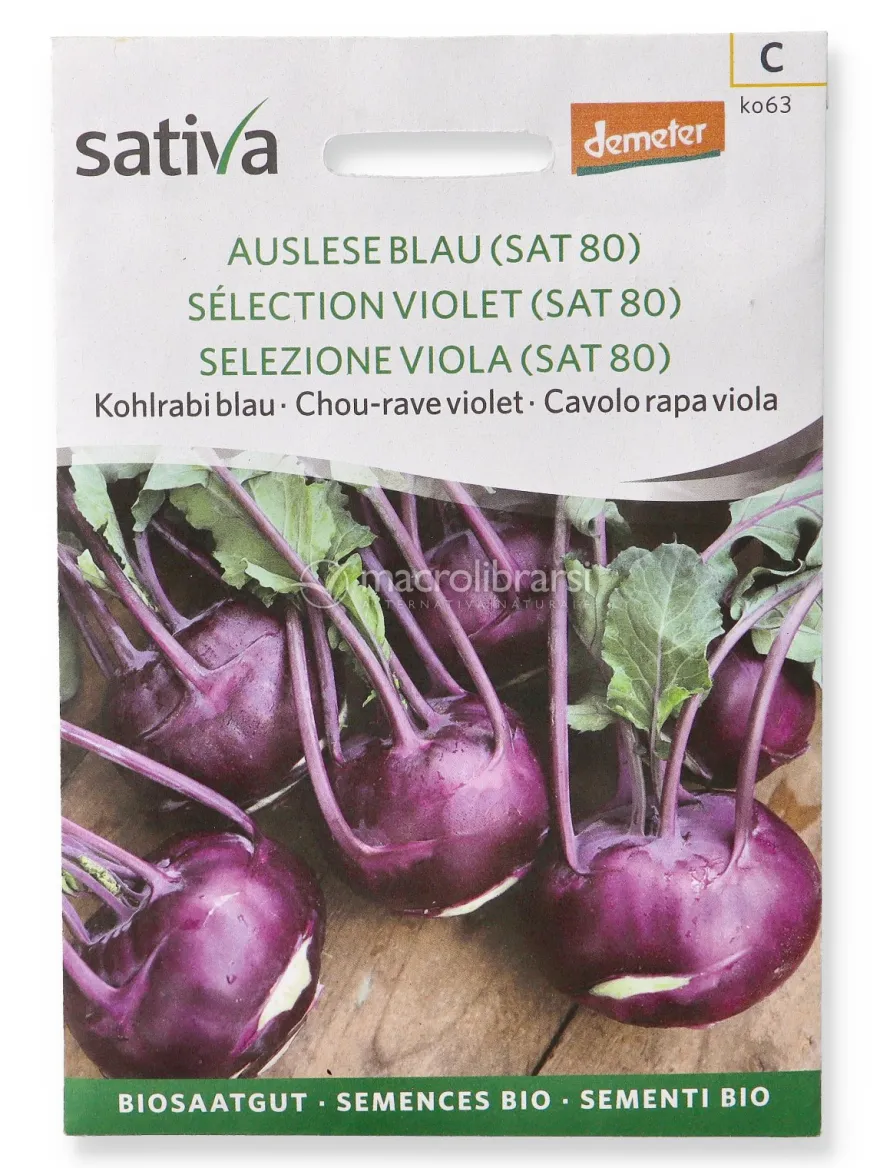 Semi di Cavolo Rapa Viola - Selezione (SAT80)