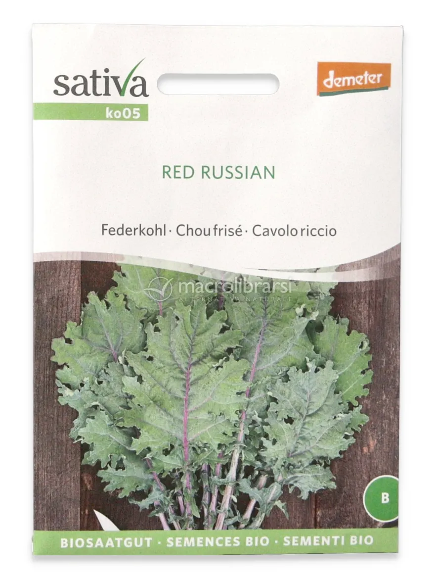 Semi di Cavolo Riccio Bio - Red Russian