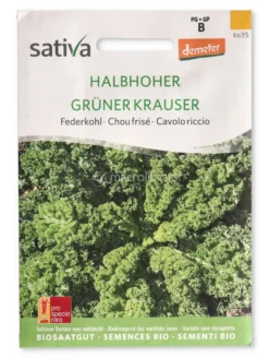 Semi di Cavolo Riccio - Halbhoher Grüner Krauser