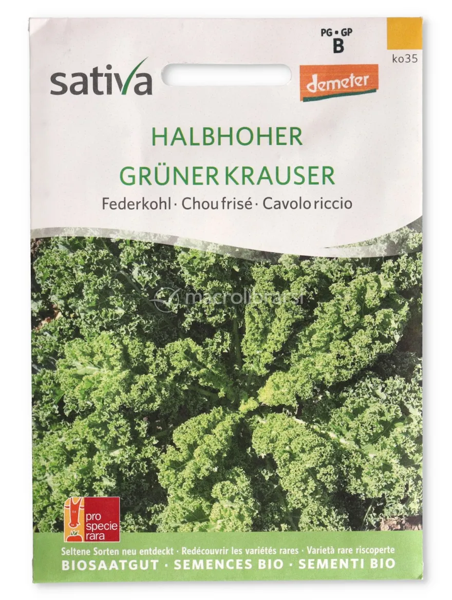 Semi di Cavolo Riccio - Halbhoher Grüner Krauser