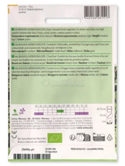 Semi di Cavolo Riccio - Halbhoher Grüner Krauser