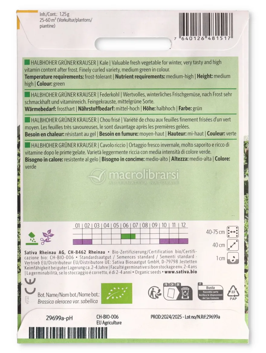 Semi di Cavolo Riccio - Halbhoher Grüner Krauser