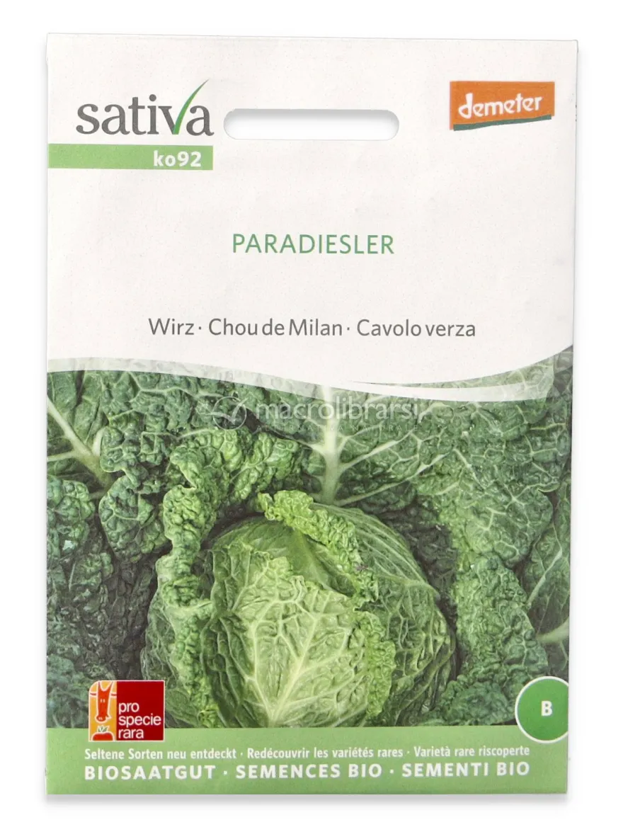 Semi di Cavolo Verza Bio - Paradiesler