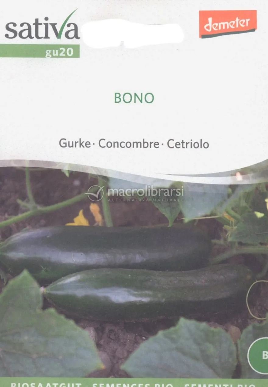 Semi di Cetriolo Bono - 25 Semi