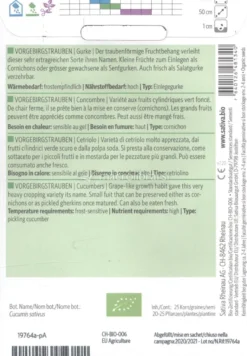 Semi di Cetriolo Vorgebirgstrauben - 25 Semi