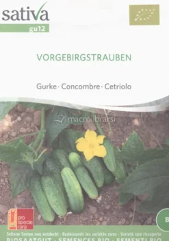 Semi di Cetriolo Vorgebirgstrauben - 25 Semi