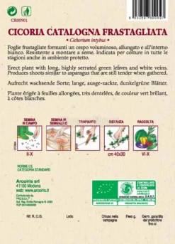 Semi di Cicoria Catalogna Frastagliata - 5 gr - BU010