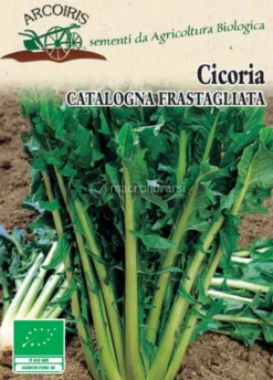 Semi di Cicoria Catalogna Frastagliata - 5 gr - BU010