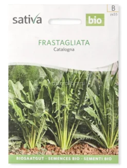 Semi di Cicoria Catalogna Frastagliata