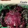 Semi di Cicoria Palla Rossa - 5 gr - BU012