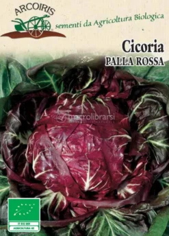 Semi di Cicoria Palla Rossa - 5 gr - BU012