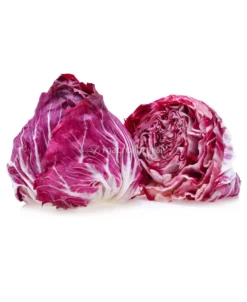 Semi di Cicoria Rossa di Verona a Palla Bio