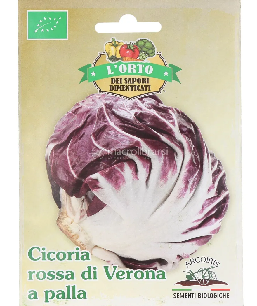 Semi di Cicoria Rossa di Verona a Palla Bio