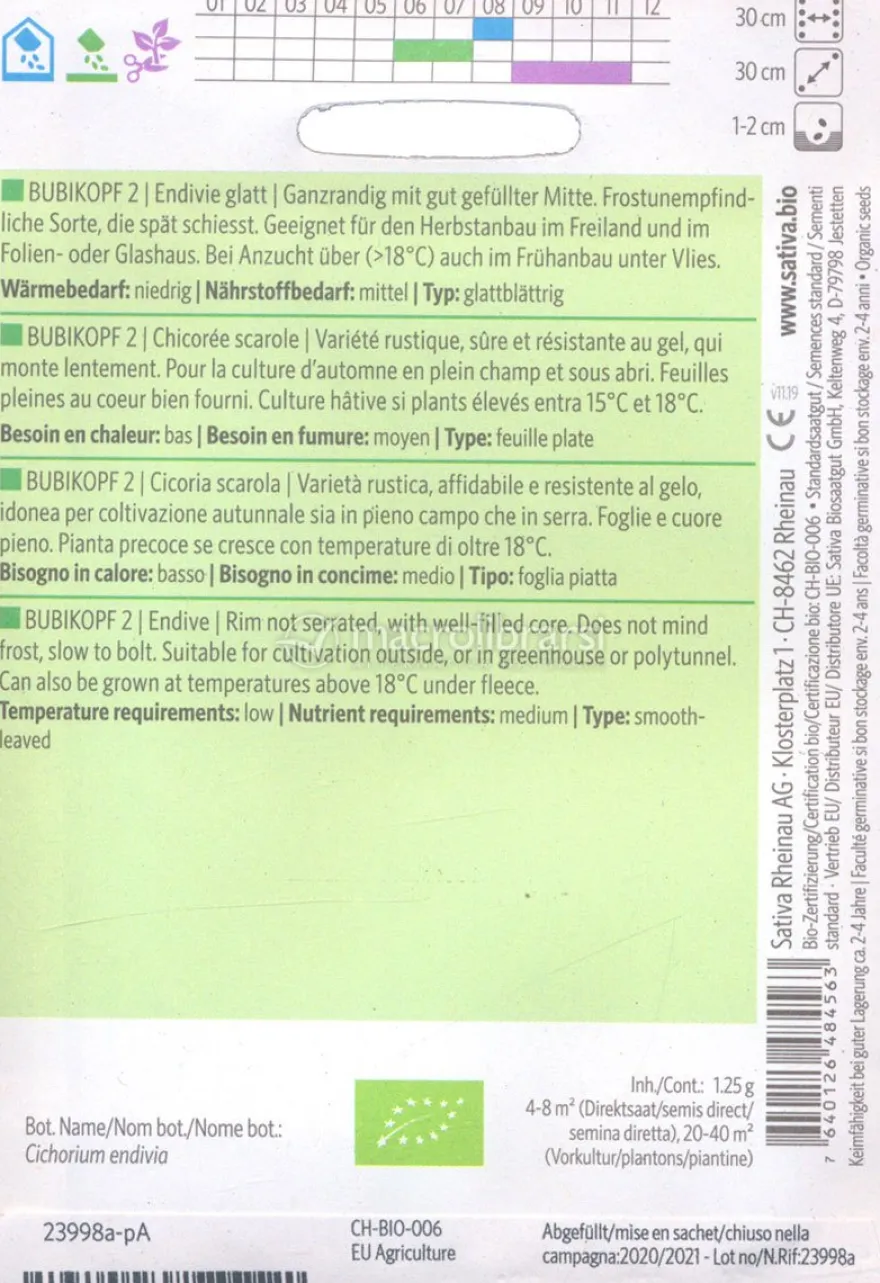 Semi di Cicoria Scarola Bubikopf 2