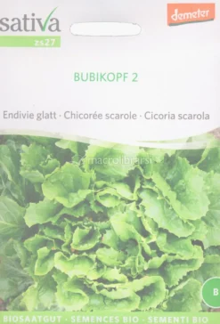 Semi di Cicoria Scarola Bubikopf 2