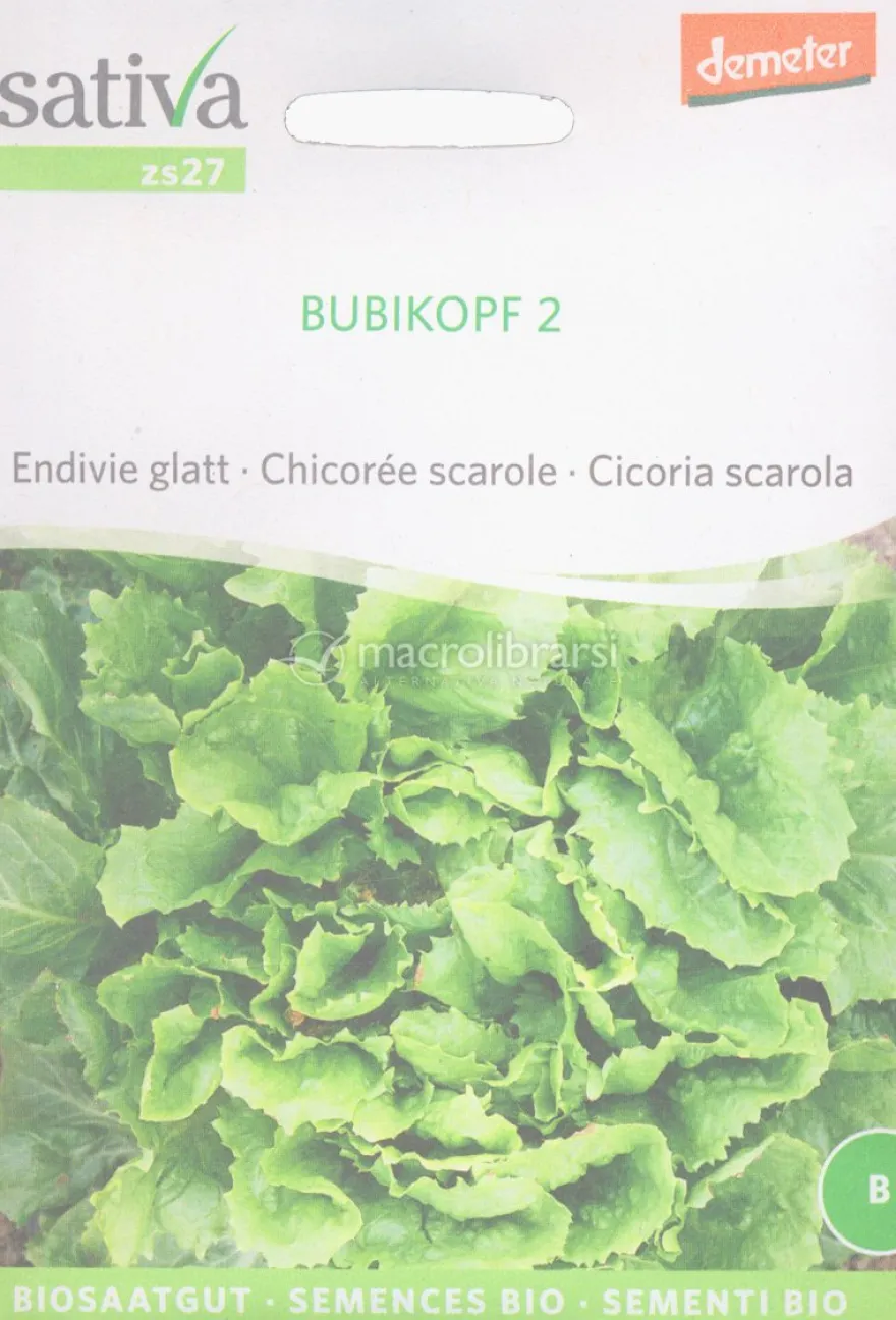 Semi di Cicoria Scarola Bubikopf 2