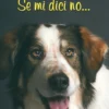 Se mi Dici No