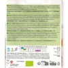 Semi di Cipolla Bio - Selezione Rijnsburger