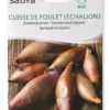 Semi di Cipolla - Cuisse De Poulet